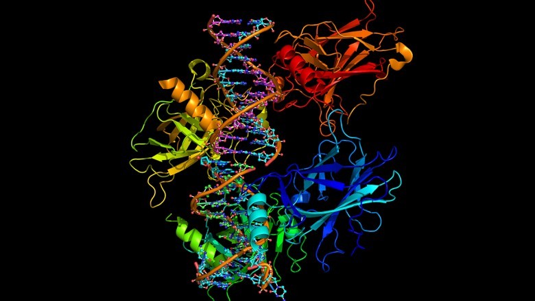 Global Protein Characterization and Identification Market Size, Status and Forecast 2021-2027
