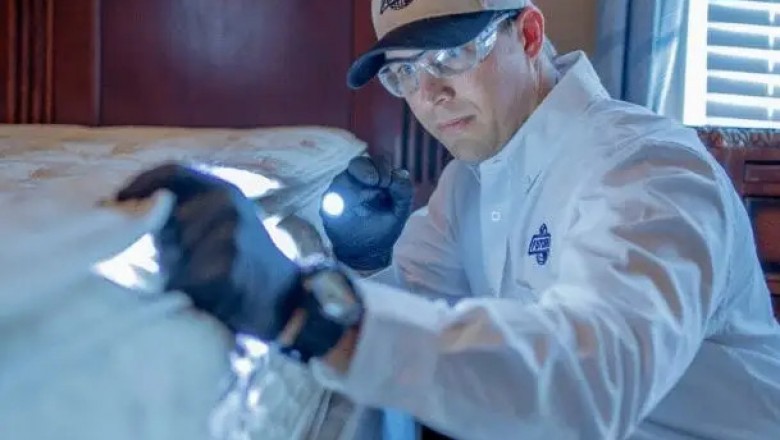 Why Pest Prevention Services Are Important For You?