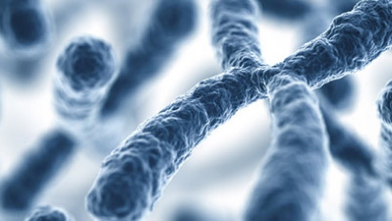 Animal Genetics Market Projected to Grow Radiantly by 2027; Snapshot Analysis | 8.4% CAGR over the predicted years | Key players profiled in the animal genetics market include vetGen (US), Alta Genetics (US), Animal Genetics