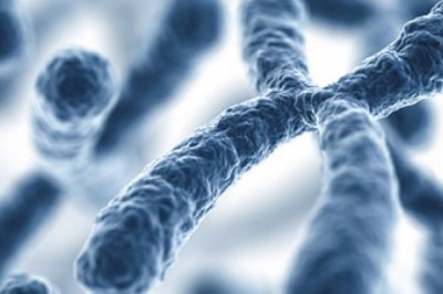 Animal Genetics Market Projected to Grow Radiantly by 2027; Snapshot Analysis | 8.4% CAGR over the predicted years | Key players profiled in the animal genetics market include vetGen (US), Alta Genetics (US), Animal Genetics