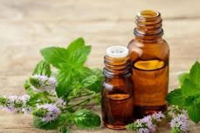 Global Essential oil Market Size 2021, Analysis, Growth Status andforecast to 2026