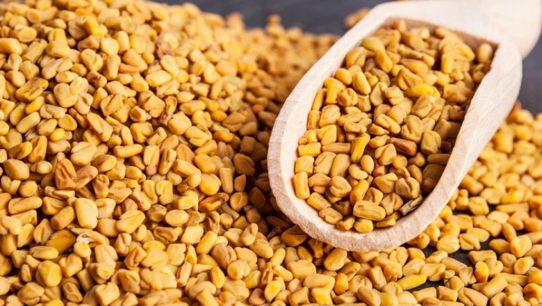 Global Fenugreek Seed Extract Market 2021 Focusingon Industry Growth and Emerging Trends