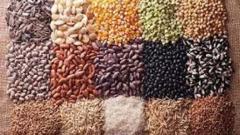 Global Organic Seeds Market Trends, Applications, Analysis, Growth, And Forecast: 2021To 2027