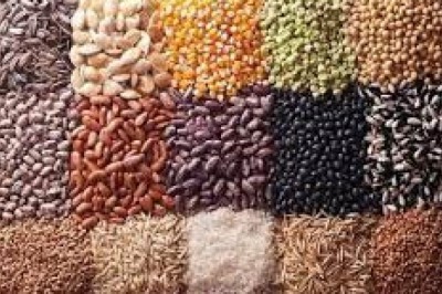 Global Organic Seeds Market Trends, Applications, Analysis, Growth, And Forecast: 2021To 2027