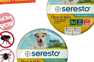 SERESTO- Collar 2 pieces for Flea and Tick Control on Dogs under 8 Kg