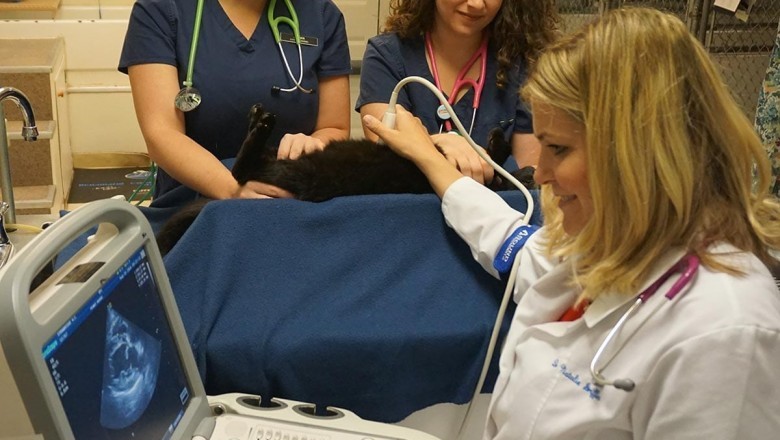 Veterinary Diagnostics Market Industry Size, Share, Rising Trends, Growth Factors, Major Manufacturers, Regional Outlook | By 2027, the veterinary POC diagnostics market value is expected to touch USD 2,894 Million