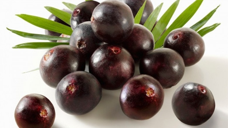 Acai Berry Market Vendor Landscape, Growth, Developments And Forecast 2021-2029