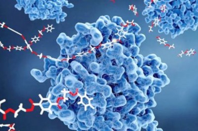 Global Enzymes Market: Industry Analysis, Trends, Market Size, andForecasts up to 2027