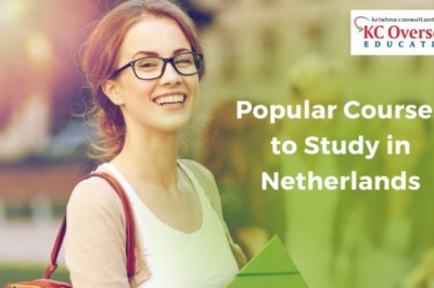 Top Courses Students Choose to Study in Netherlands