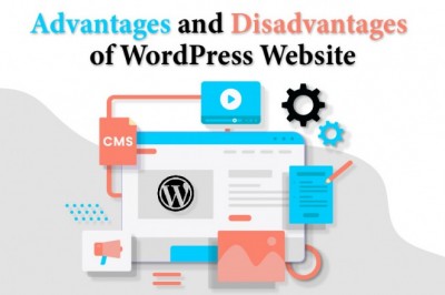 Advantages and disadvantages of WordPress website