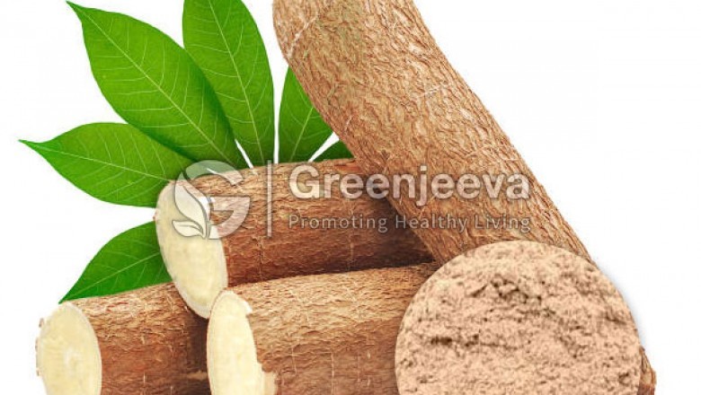 Bulk Yucca Root Powder | Best Yucca Root Powder Suppliers
