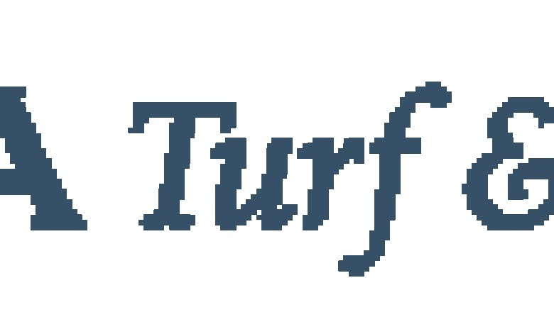 Fake Grass for Dogs | LA Turf & Paver