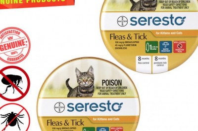 SERESTO Collar 2 Pieces 8 month flea & tick protection for Cats