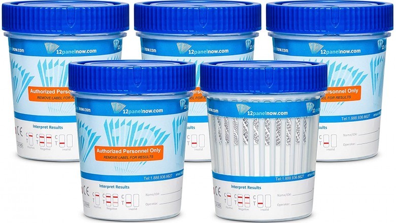 What Can A 10 Panel Instant Urine Drug Test Show?