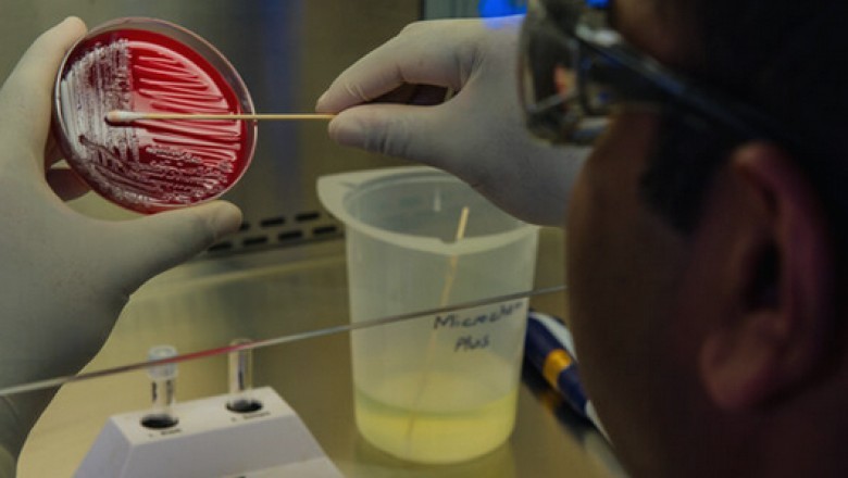 Bacoban Cleaner & Disinfectant Now Available In Canada | bacoban for the best