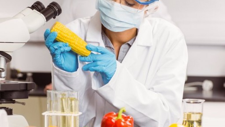 Global Food Biotechnology Market by Product -Opportunity Analysis and Industry Forecast, 2021-2027.