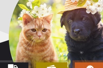 Mypetsupplies- Spring sale for any pet products on eBay