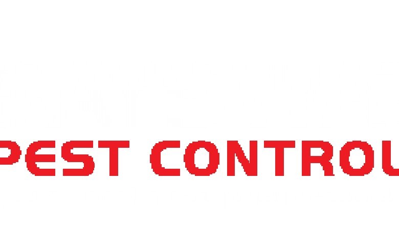 Pest Control Company in Melbourne at Affordable Cost | Bayswater Pest Control