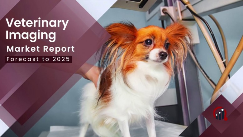 Veterinary Imaging Market Demand, Global Manufacturers, Top Key Leaders and Forecast to 2027 | Fujifilm Holding Corporation, Carestream Health, BCF Technology Ltd, and Idexx Laboratories Inc