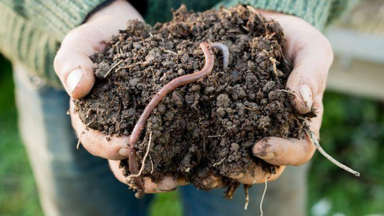 The cost of organic fertilizers varies according to the nutrients they contain and the amount of organic matter they contain