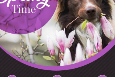 Spring sale!!! at eBay's best store BargainPetProducts