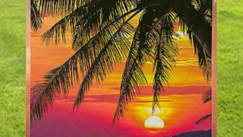 Best Framed Suncatchers For Windows At Night Light Designs