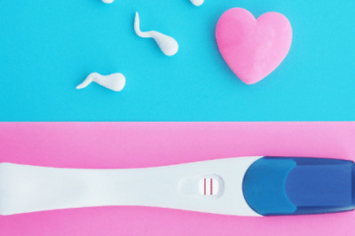 Ovulation Calculator