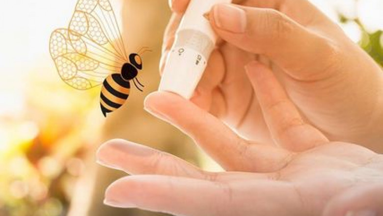 Real Healthy Honey