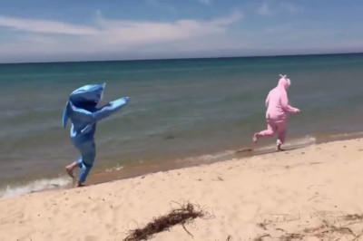 Funny Video Clip | You Can't Stop Laughing | Funniest Videos As Always