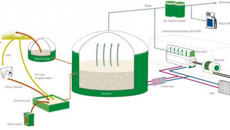 Global and Japan Biogas Power Market Size, Status and Forecast 2021-2027
