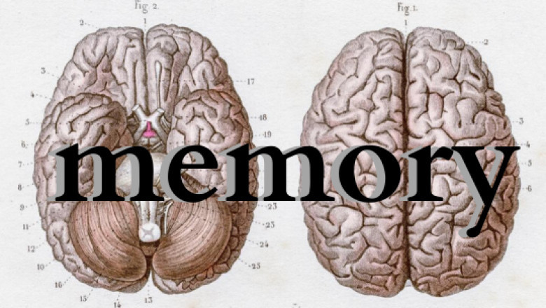 Online Health and Fitness Courses