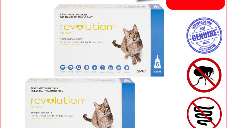 Revolution for Cats 12 Pipettes