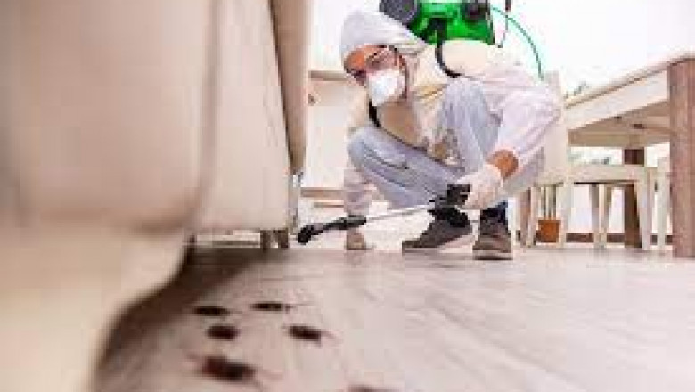 Termite treatment cost Rosenberg