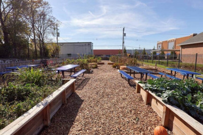 Forest Park, Science Center, BJC & CWE eats - FL2 - Sandpiper