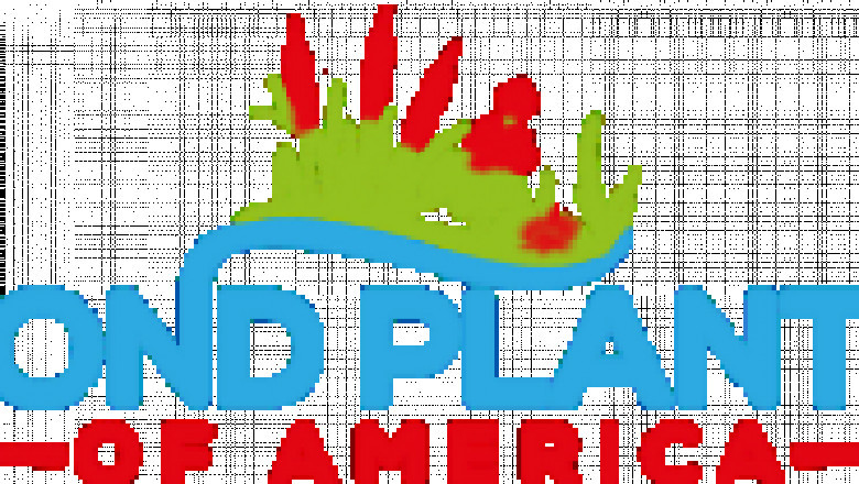 Best Bog Plants for Your Pond