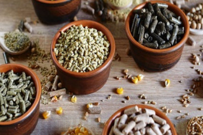 Compound Feed Market To Grow With an Impressive CAGR During the Forecast Period