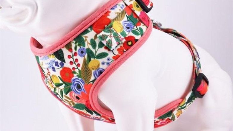 Free Engraving on Personalized Dog ID Collar Set with Leash, Flower, Bow, Bandana and Harness