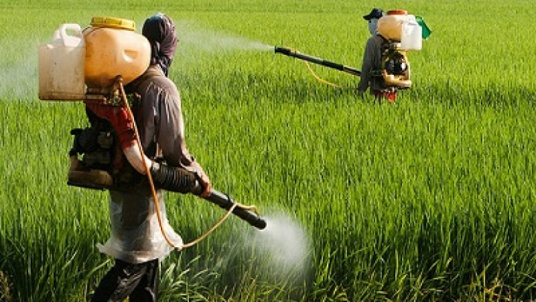 India Biological Crop Protection Market To Establish Growth With An Impressive CAGR Until FY2027