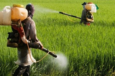 India Biological Crop Protection Market To Establish Growth With An Impressive CAGR Until FY2027