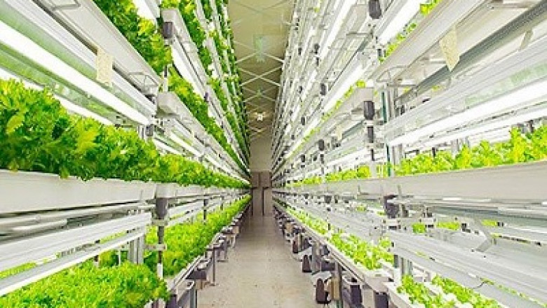 United States Plant Factory Market to Grow Due to Advancing Technology until 2026