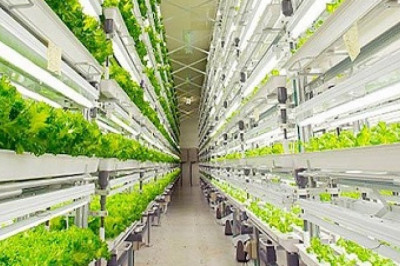 United States Plant Factory Market to Grow Due to Advancing Technology until 2026