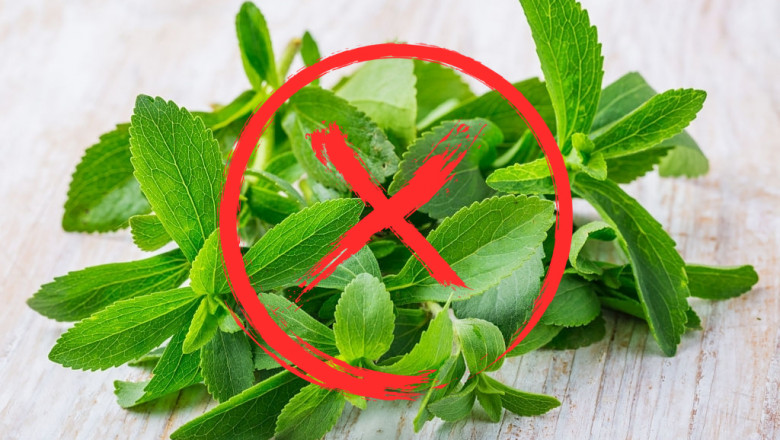 WHY WAS STEVIA BANNED IN USA, EUROPE, INDIA?