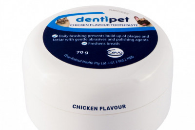 Dentipet CHICKEN Flavour Toothpaste for Dogs and Cats