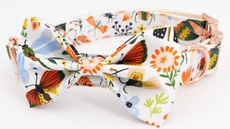 Dog Accessories | Free Engraving | Insect dog bowtie collar and leash set with metal buckle, Personalized Dog ID Collars and Leash Set