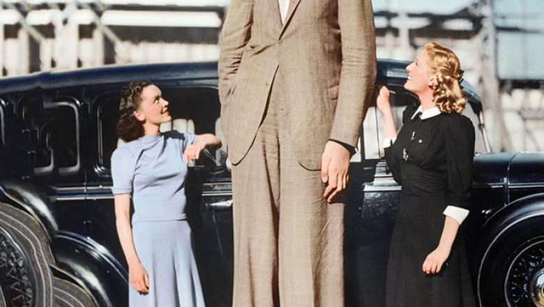 Tallest person in the world