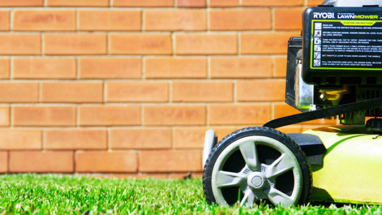 Tree Removal Services Melbourne