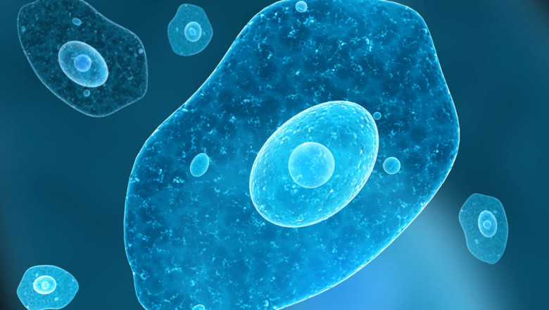 Biologics Market Dynamics, Forecast, Analysis And Supply Demand 2027 | Novartis AG (Switzerland), Amgen (US), Pfizer Inc. (US), AstraZeneca (UK)
