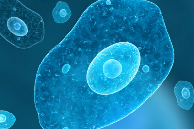 Biologics Market Dynamics, Forecast, Analysis And Supply Demand 2027 | Novartis AG (Switzerland), Amgen (US), Pfizer Inc. (US), AstraZeneca (UK)