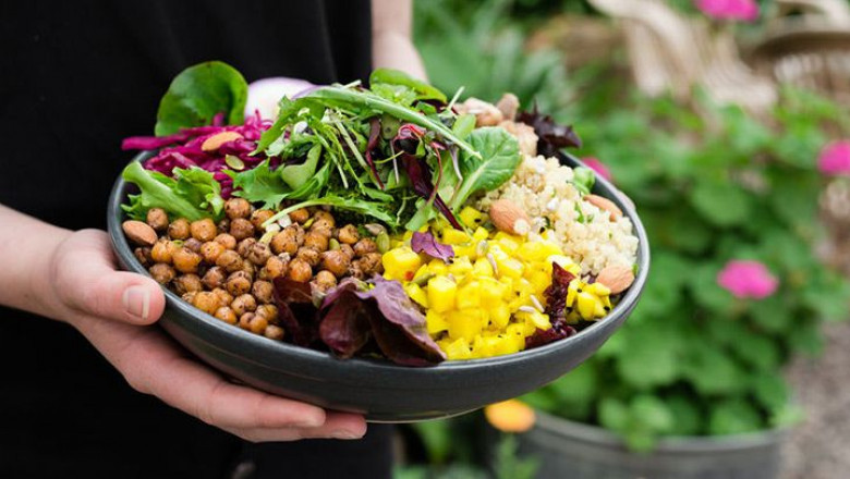 Asia Pacific Plant Protein Market | Industrial Lighting Market by Type, Application, Deployment, Key Customers