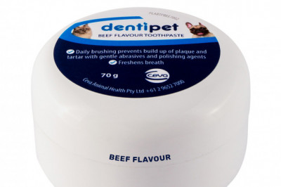 Dentipet Beef Flavour Toothpaste for Dogs and Cats